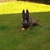 Jos van den Hove (@josvandenhove) Twitter profile photo