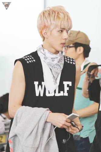 อันยอง~ ผมมักเน่โอเซฮุน