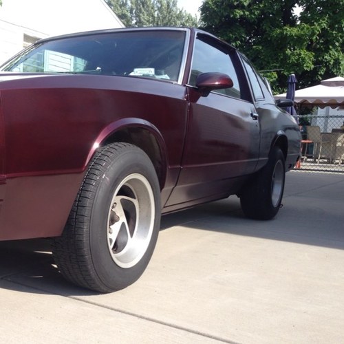 shaddenmac's profile picture. Ill race whatever whenever.