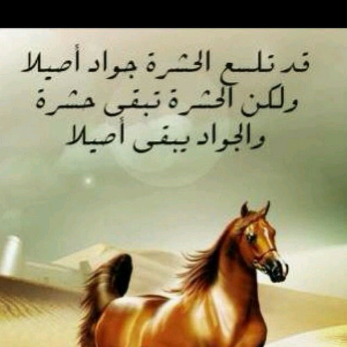 m1m1aa's profile picture. 