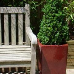 mercigaspard's profile picture. Retrouvez les Meilleurs Conseils #Jardins #Deco #Voyages #Cuisine de Merci Gaspard sur http://t.co/XRVGbRLNhC