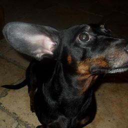 tofyek_04's profile picture. 