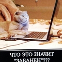 Alex Sokol - @ASokolok - Twitter