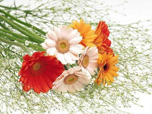 shardagupta777's profile picture. 