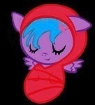 -a little Pegasus foal she has no family -