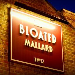 The Bloated Mallard, offers local ales, fine food, a large garden, and relaxed atmosphere directly opposite Bushy Park in the Heart of Hampton Hill