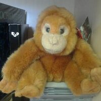 Claudio Mendicute (@albionado2) 's Twitter Profile