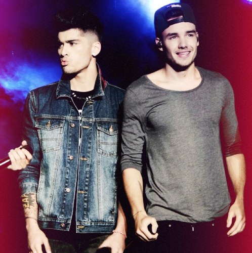 ZAYN PLEASE FOLLOW @ZIRRYZAP