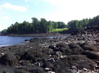 downeast72's profile picture. 