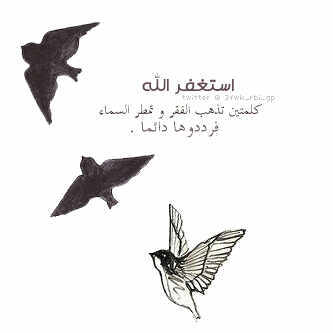 سبحان الله وبحمده، سبحان الله العظيم، لا أله الا الله، الله اكبر، استغفر الله : الحمدلله.
