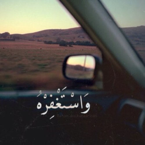 ( مثل الذي يذكر ربَّه والذي لا يذكر ربه، مثلُ الحي والميت )