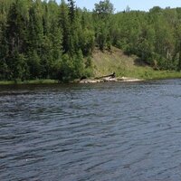 DiscoverLife Timmins (@discovertimmins) 's Twitter Profile