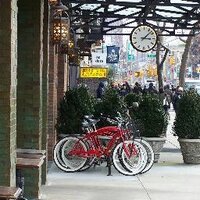 McClintockPlace (@mcclintockplace) 's Twitter Profile