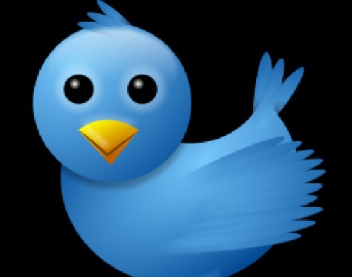 I followback 100%