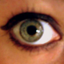 ojosvioletas's profile picture. 