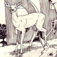 Jared Muralt (@jaredmuralt) 's Twitter Profile