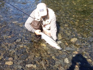 Father, friend. I travel. Fish with feather and fur. Hunter of tasty animals and some that aren't. Beer and BBQ make me happy.