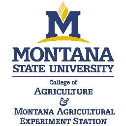 MSU College of Agriculture and MAES Information Technology Services