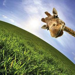 LJPS64's profile picture. and the day came........................ Momma to three beautiful humans Pronouns : She/her