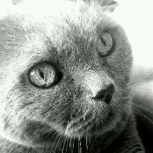 bachme79's profile picture. 