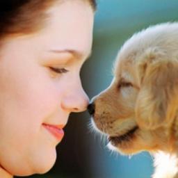 A Complete Blog About Your Pet