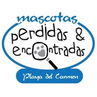 Perdidas+Encontradas (@perdidaspdc) 's Twitter Profile