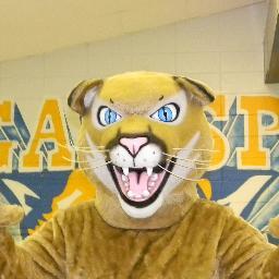 SWR_SGA Profile Picture
