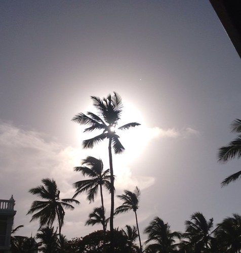 yannickdriesen's profile picture. 