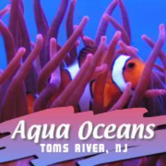 Aqua Oceans is a retail saltwater aquarium store that has been in business 30+ years at the same location.