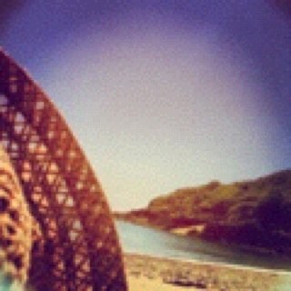 MaplesLass's profile picture. Living in Guernsey. Wanna-be Mermaid. Makes things with yarn. Loves foraging, also cheese. These are my views.