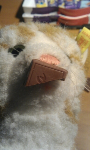 UrlaubAC's profile picture. 