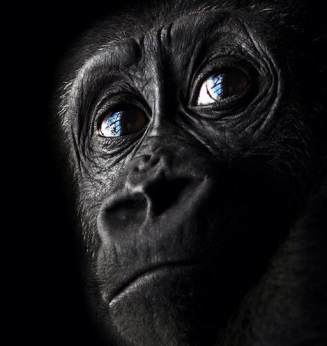 neurotalks's profile picture. Twits inteligentes, extraídos de los mejores libros del mundo. Fotos inspiradoras. Conferencias cortas, emitiendo desde Colombia.