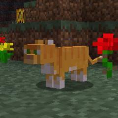 Japan Minecraft Networkの公式アカウントです。マルチプレイヤーサーバリストやPvPマッチを運営しています。
Twitter上では個別の案件に関するサポートは行いません。メールにてお問い合わせください。