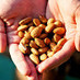 The Sprouted Nut Co. (@thesproutednut) Twitter profile photo
