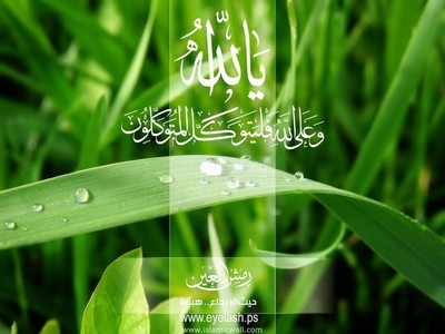 سبحان الله وبحمده سبحان الله العظيم لاحول ولاقوة إلا بالله وإنا لله وإنا إليه لراجعون