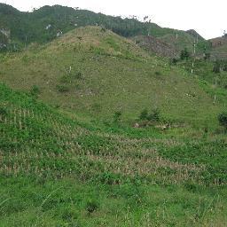 Helping to meet climate change needs now