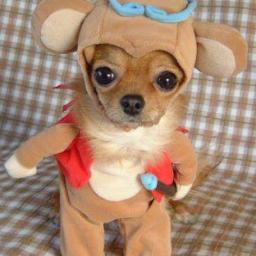 「ちょっと笑える」の姉だよ。30分に一度ちょっと過激なツイートするからRTよろしくね♪