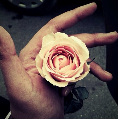 Nyl117's profile picture. I was born to make my parents happy