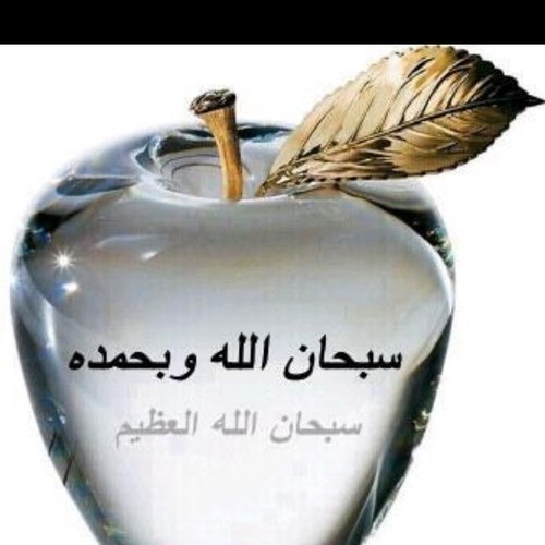 انا احب الحق وصدق ولي ساكت عن الحق شيطان اخرس