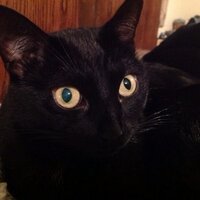 Spooky (@unitysprung) 's Twitter Profile