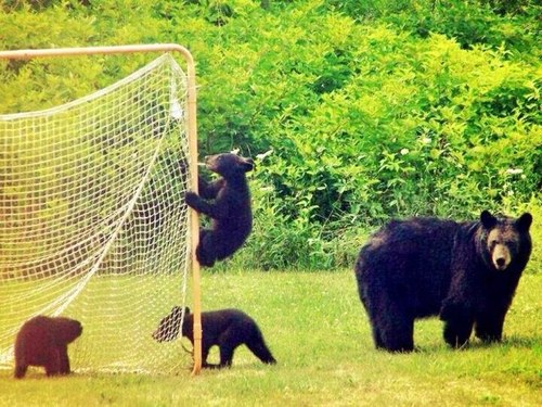 foleyflow22's profile picture. 