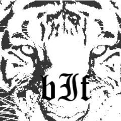 burntinfate's profile picture. skill is shit, we are heavy weight terror machine !!