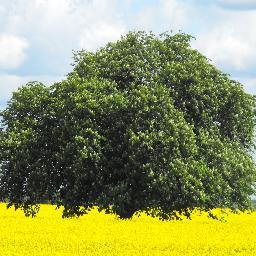 History_Listy's profile picture. Military Historian and Writer.
I've also consulted on several History related projects, and carried out research for various companies.