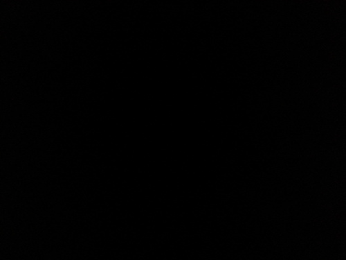 Challie__'s profile picture. 