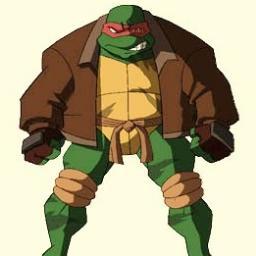 raph here and i went rogue when donnie left us and master splinter died. Leo its all your damn fault. #TMNT #RP #Taken
