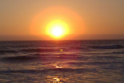 nanzhanz's profile picture. 