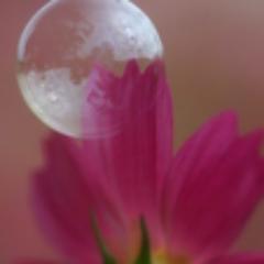 龍神✨JO1 🌺無言フォロー失礼します🙇‍♀️