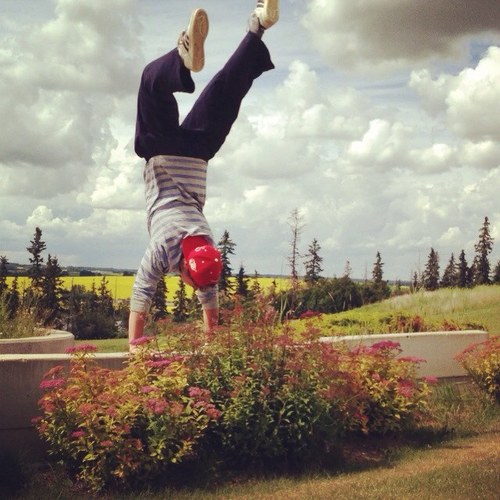 | Live to become more. | Parkour and Freerunning | Gymnastics and Tricking |