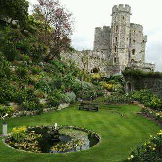 Sami911Ss's profile picture. 