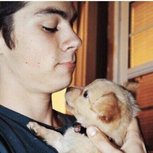 love teen wolf